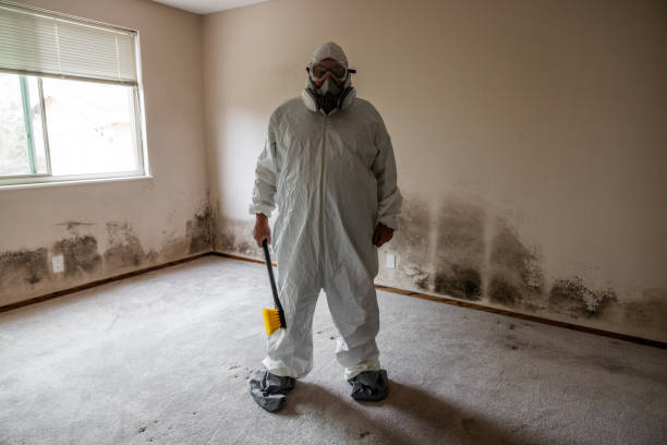 Best Toxic Mold Removal  in Ardmore, OK